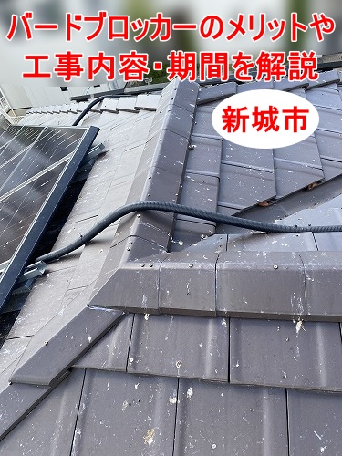 新城市｜鳩の侵入を防ぐ太陽光パネル専用ネットとは？バードブロッカーのメリットや工事費用・期間を解説